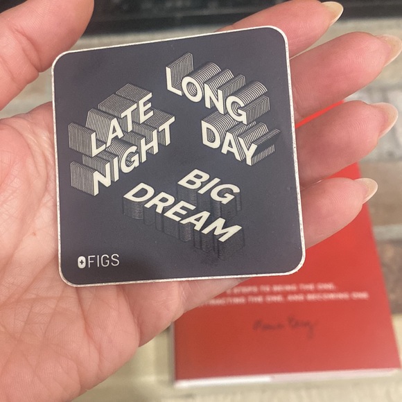 Figs LATE NIGHT LONG DAAY BIG DREAM sticker - Picture 2 of 4